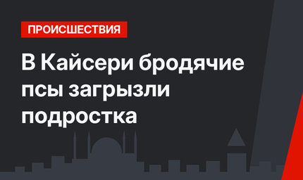 В Кайсери бродячие псы загрызли подростка