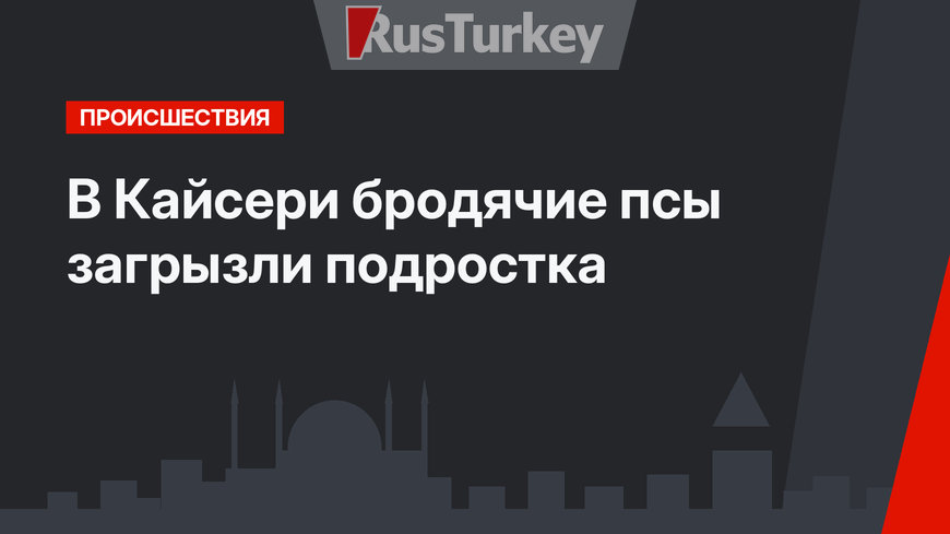 В Кайсери бродячие псы загрызли подростка
