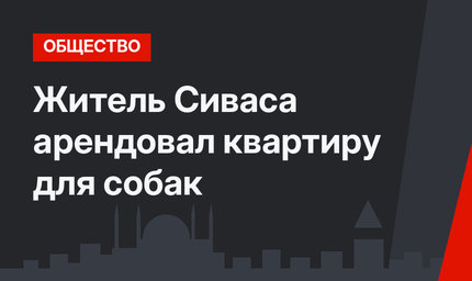 Житель Сиваса арендовал квартиру для собак