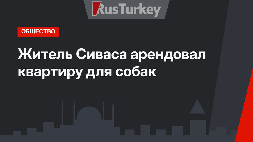 Житель Сиваса арендовал квартиру для собак