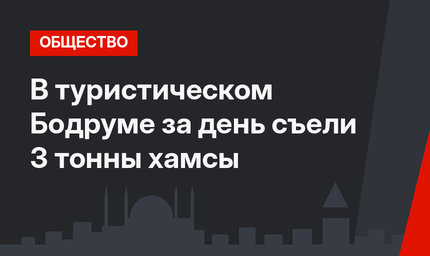 В туристическом Бодруме за день съели 3 тонны хамсы