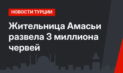 Жительница Амасьи развела 3 миллиона червей