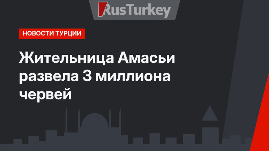 Жительница Амасьи развела 3 миллиона червей