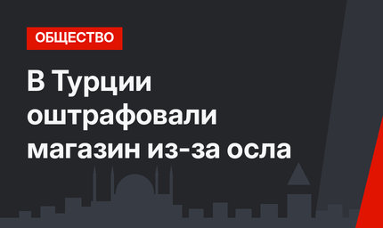 В Турции оштрафовали магазин из-за осла