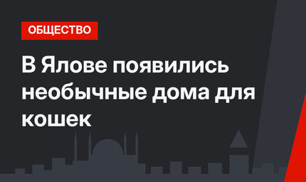В Ялове появились необычные дома для кошек