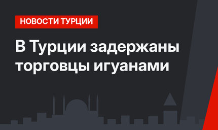 В Турции задержаны торговцы игуанами