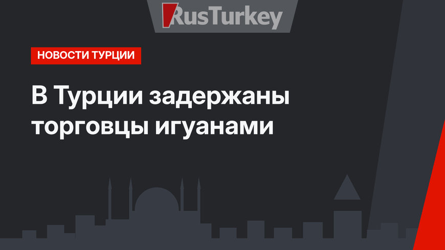 В Турции задержаны торговцы игуанами