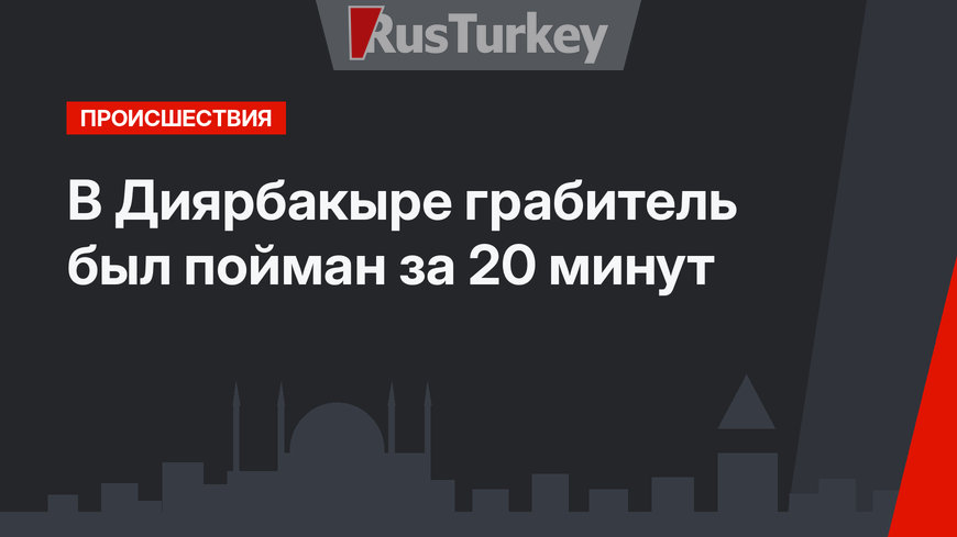 В Диярбакыре грабитель был пойман за 20 минут