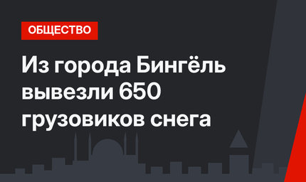 Из города Бингёль вывезли 650 грузовиков снега