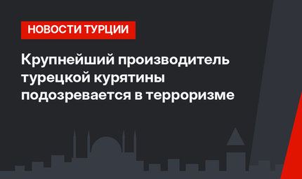Крупнейший производитель турецкой курятины подозревается в терроризме