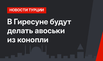  В Гиресуне будут делать авоськи из конопли