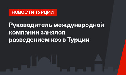 Руководитель международной компании занялся разведением коз в Турции