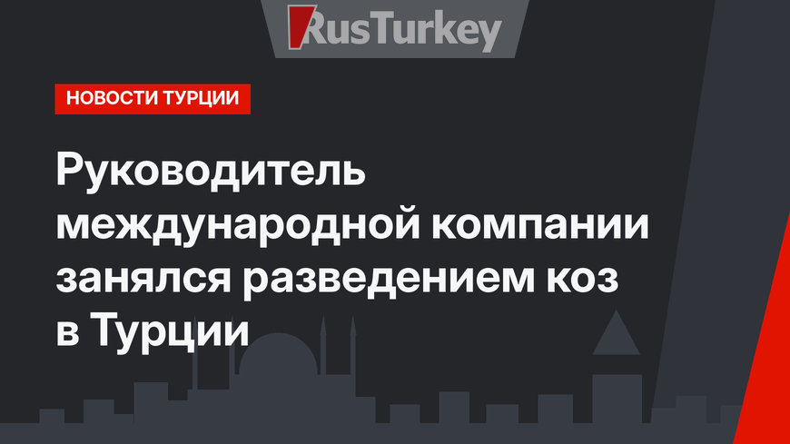 Руководитель международной компании занялся разведением коз в Турции