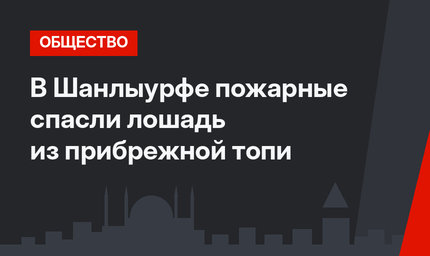 В Шанлыурфе пожарные спасли лошадь из прибрежной топи
