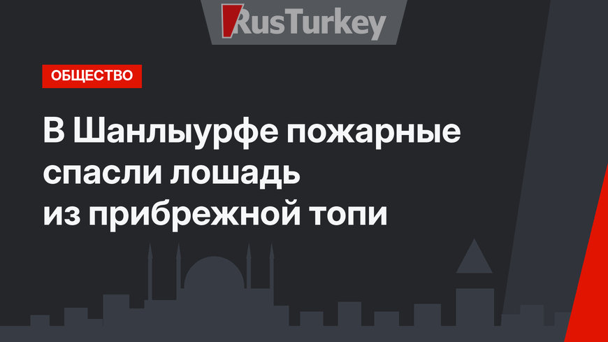 В Шанлыурфе пожарные спасли лошадь из прибрежной топи