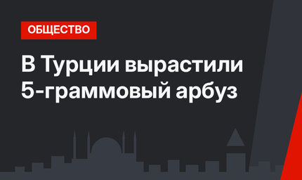 В Турции вырастили 5-граммовый арбуз