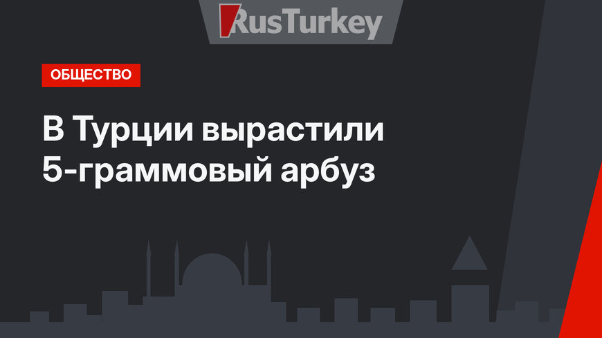 В Турции вырастили 5-граммовый арбуз