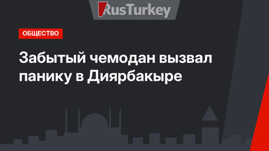 Забытый чемодан вызвал панику в Диярбакыре