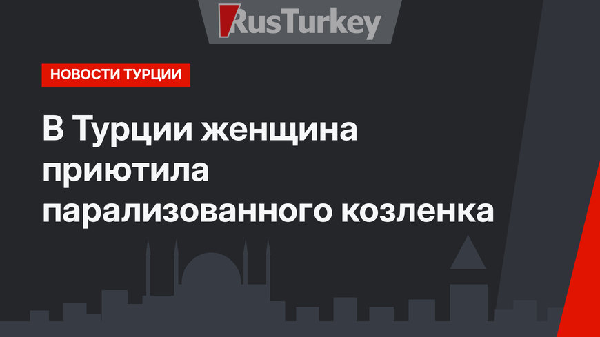 В Турции женщина приютила парализованного козленка