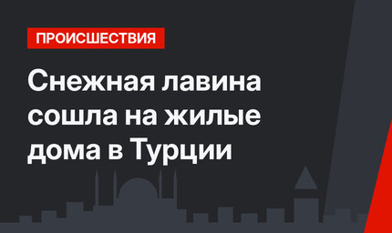 Снежная лавина сошла на жилые дома в Турции