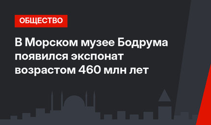 В Морском музее Бодрума появился экспонат возрастом 460 млн лет