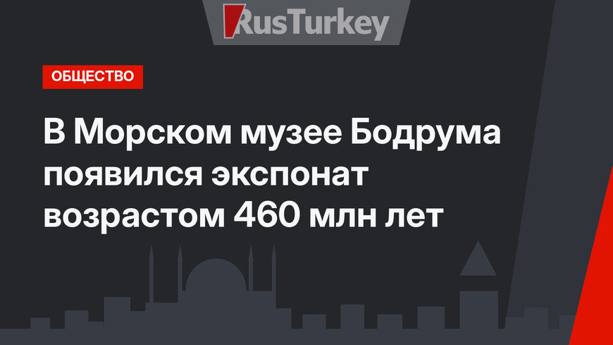 В Морском музее Бодрума появился экспонат возрастом 460 млн лет