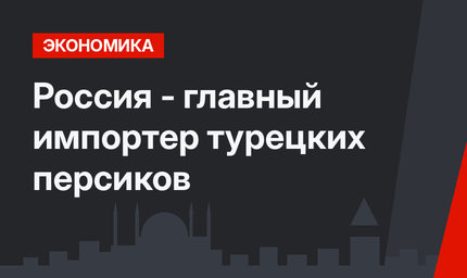 Россия - главный импортер турецких персиков