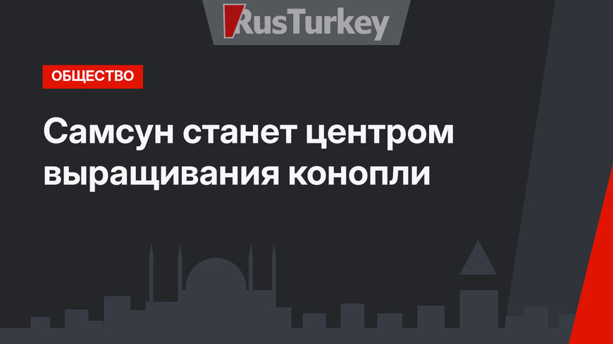 Самсун станет центром выращивания конопли