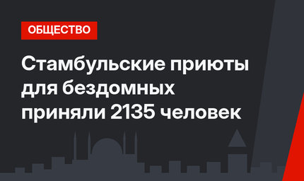 Стамбульские приюты для бездомных приняли 2135 человек