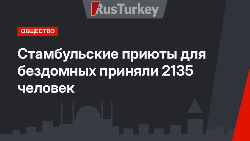 Стамбульские приюты для бездомных приняли 2135 человек