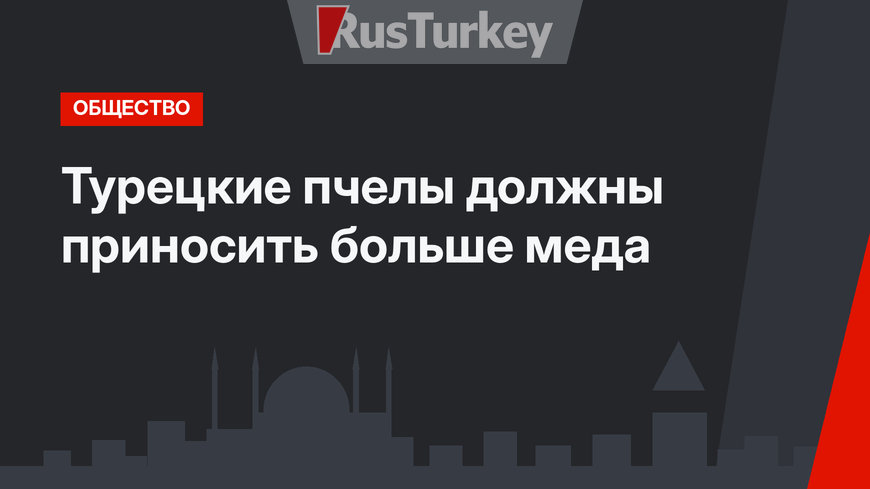 Турецкие пчелы должны приносить больше меда