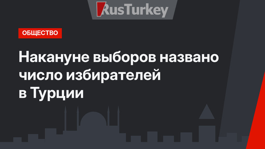 Накануне выборов названо число избирателей в Турции