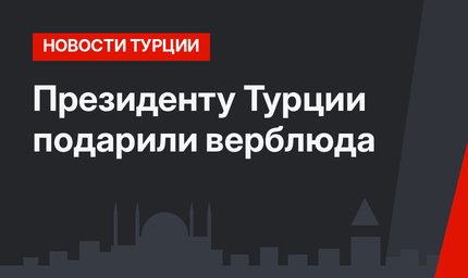 Президенту Турции подарили верблюда