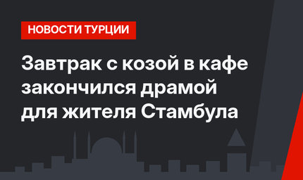 Завтрак с козой в кафе закончился драмой для жителя Стамбула