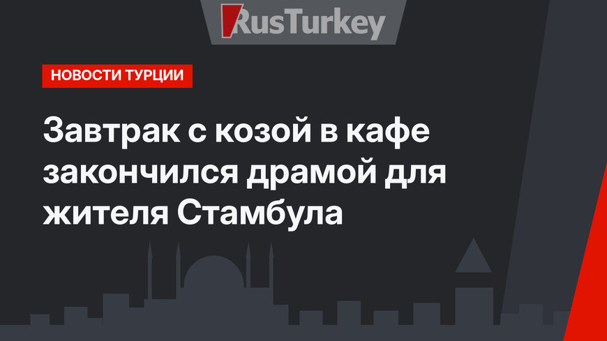 Завтрак с козой в кафе закончился драмой для жителя Стамбула