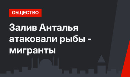 Залив Анталья атаковали рыбы - мигранты