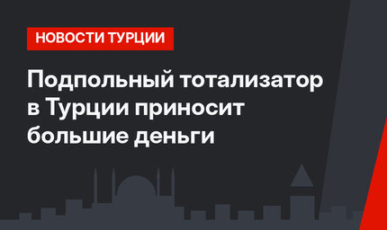 Подпольный тотализатор в Турции приносит большие деньги