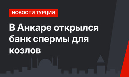 В Анкаре открылся банк спермы для козлов