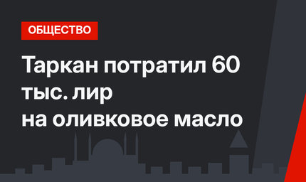 Таркан потратил 60 тыс. лир на оливковое масло