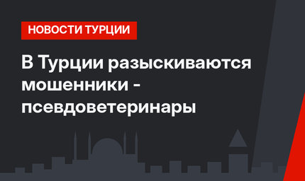 В Турции разыскиваются мошенники - псевдоветеринары