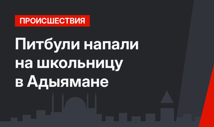 Питбули напали на школьницу в Адыямане