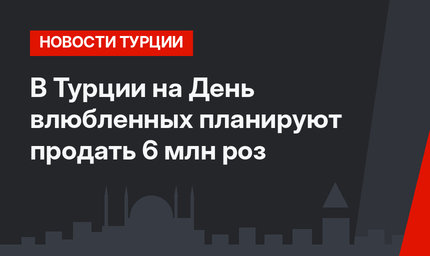 В Турции на День влюбленных планируют продать 6 млн роз