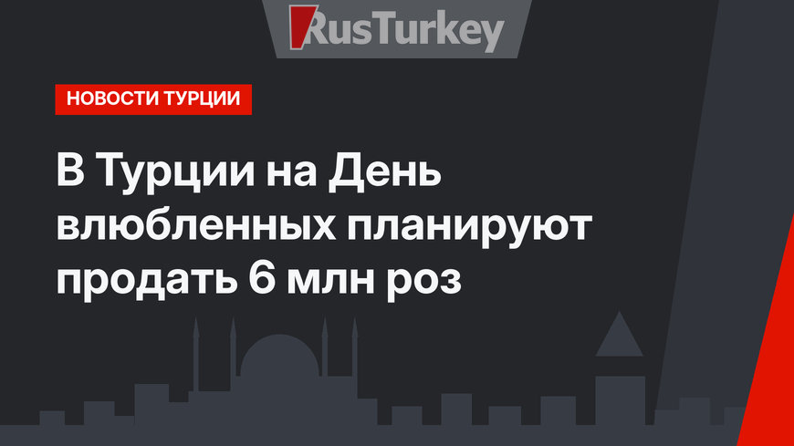 В Турции на День влюбленных планируют продать 6 млн роз