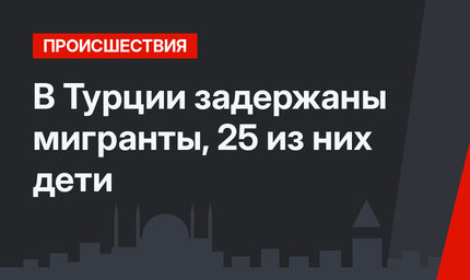 В Турции задержаны мигранты, 25 из них дети