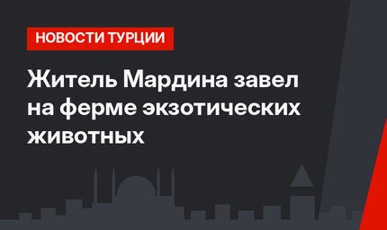 Житель Мардина завел на ферме экзотических животных