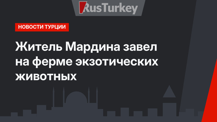 Житель Мардина завел на ферме экзотических животных