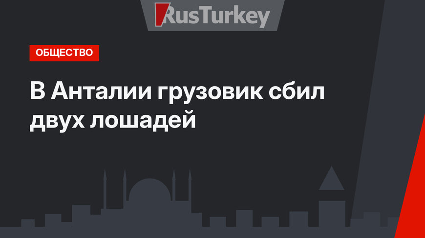 В Анталии грузовик сбил двух лошадей