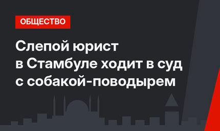 Слепой юрист в Стамбуле ходит в суд с собакой-поводырем