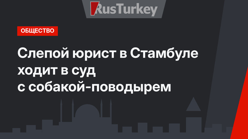 Слепой юрист в Стамбуле ходит в суд с собакой-поводырем