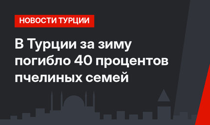 В Турции за зиму погибло 40 процентов пчелиных семей